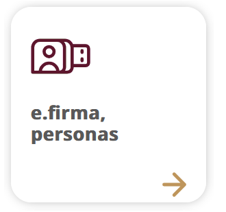 e.firma personas